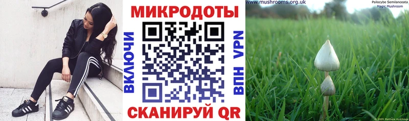 Галлюциногенные грибы прущие грибы  купить наркотики сайты  Краснообск 